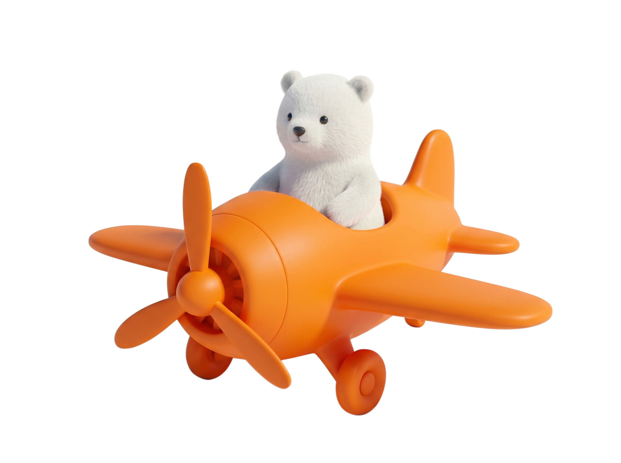 bear on a plane